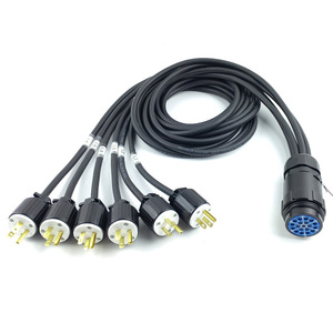 Cable de Distribución de Energía de 19 Pines, 6 Vías, 15A, 125V, Enchufe Industrial, Divisor, Cable Pigtail - Product Image 1