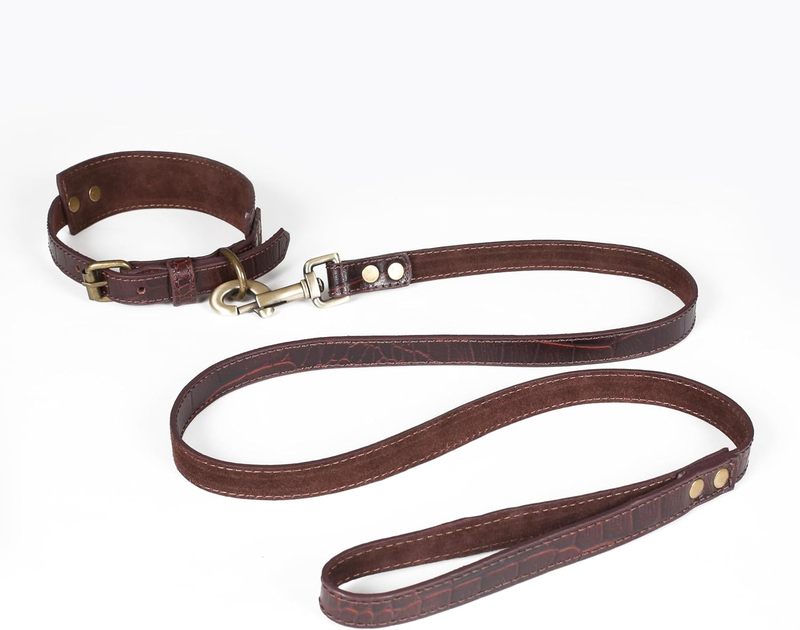 Genuine Leather Braided Dog Leash 6ft