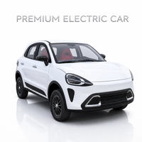 Véhicule électrique compact de luxe en gros, SUV mini 4 roues, petit véhicule électrique pour la conduite urbaine familiale, véhicule à basse vitesse à vendre