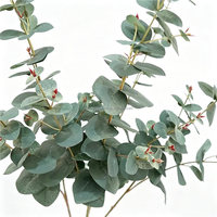 Ranting Eucalyptus Buatan Berkualitas Tinggi L-598, Daun Perak, Tangkai Panjang, Sentuhan Alami, Ramah Lingkungan, Bersertifikat CE, Cocok untuk Pernikahan