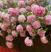 Direkt vom Hersteller Künstliche Große Einzelstiel-Hortensie Hochwertige Simulation Kunstseide Blume 3D-Gedruckte Blütenblätter Hochzeit Heim Chinesisches Neujahr