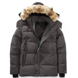 Chaqueta de Plumón de Invierno Personalizada de Alta Calidad para Hombre con Bolsillo, Brillante, Repelente al Agua, Talla Grande, Transpirable - Product Image 3
