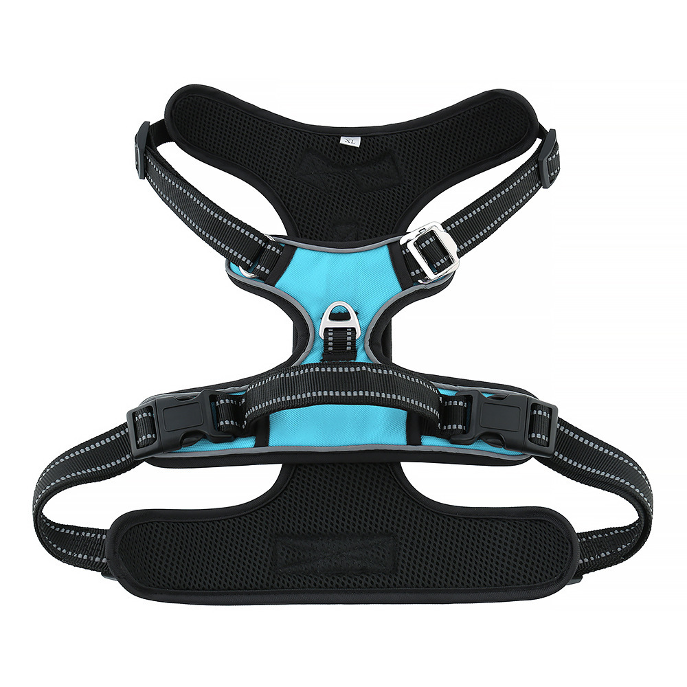 Sky blue chest and back