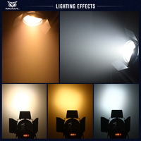 Projecteur LED COB Fresnel 200W DMX512 blanc chaud/froid pour scène, théâtre, studio de télévision
