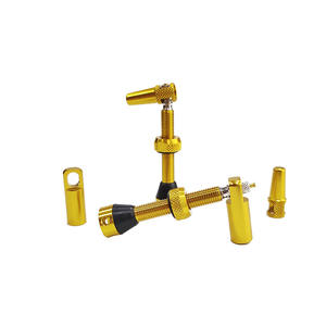 High Quality 48mm Presta Valve Gold Color Aluminum Alloy <b>Bicycle</b> Tubeless <b>Accessories</b> - Product Image 3
