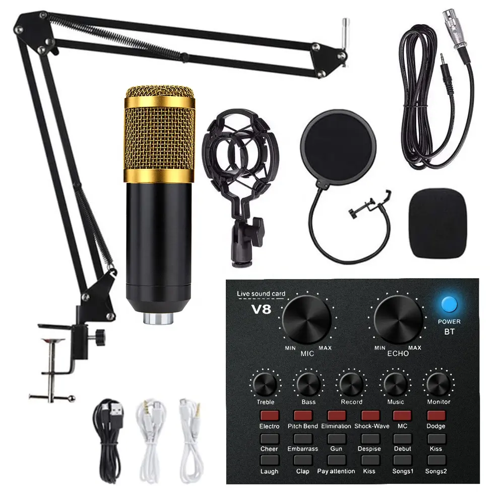 Foldable Voice Recording Usb Bm800 Professional Microphone Studio Condenser Microphones