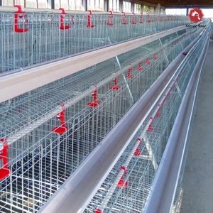 Venta Directa de Fábrica Silver Star, Jaula de Batería para Aves de Corral de <span class=keywords><strong>3</strong></span> Niveles y 120 Capas para Granjas Nigerianas - Product Image 3