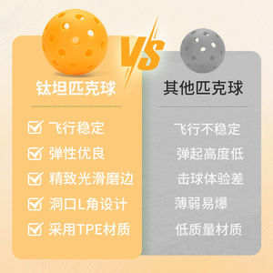 Titan Pickleball 40-Hole 26-Hole Professional Tpepe <b>Material</b> Factory Direct Racing Equipment - Product Image 4