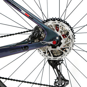 Bicicleta de Montaña de Fibra de Carbono LEAO 2025, Nueva, <span class=keywords><strong>XT</strong></span> 24S, Bicicleta Mtb 29er con Freno de Disco Hidráulico de Nivel Sram para Adultos - Product Image 6