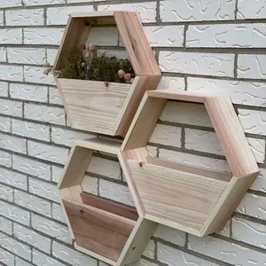 Houten Set Van 3 Zeshoekige Plantenbakken Handgemaakt Display Plank Bloempot Opknoping Plantenbakken Voor Kamerplanten Plantenhanger