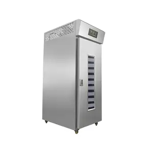 Kommerzielle Brotteig Kühlschrank Proofer Maschine Bäckerei Gärung de Masa Brotteig Heizung Proofer Schrank Gefrier schrank