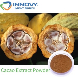 Инновация, бесплатный образец, Лучшая цена, Органический Экстракт Какао, 10:1 порошок теобромина 99% какао-порошок - Product Image 3