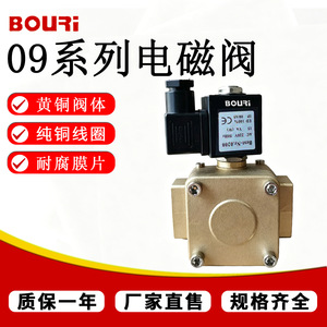 Vanne solénoïde Bouri série 0927 AC220V DC24V, corps en laiton, connexion filetée pour le contrôle des fluides industriels - Product Image 2
