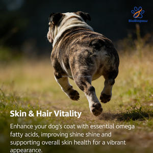 مكملات غذائية للكلاب للعناية بالجلد والفراء، فيتامينات متعددة 3 في 1 لجميع السلالات، يدعم الحساسية والمفاصل والجهاز الهضمي - Product Image 3