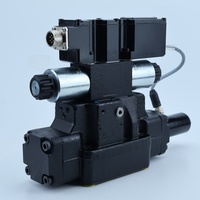 Vanne pilote proportionnelle Lainuo D41 D41FB D31 D31FB Vanne solénoïde hydraulique en stock D41FTE01FC4NF00 Mise à niveau D41FBE01FC4NF00