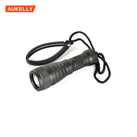 Lampe de poche professionnelle pour plongée sous-marine, 150 mètres, 1000 Lumens L2, torche étanche, lampe Led pour plongée sous-marine