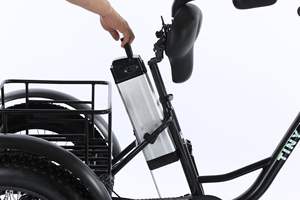 Bicicletta elettrica <span class=keywords><strong>a</strong></span> <span class=keywords><strong>3</strong></span> <span class=keywords><strong>ruote</strong></span> per passeggero <span class=keywords><strong>a</strong></span> corpo aperto cestello 48v/60v consegna <span class=keywords><strong>a</strong></span> distanza Scooter elettrico certificato EEC - Product Image 5