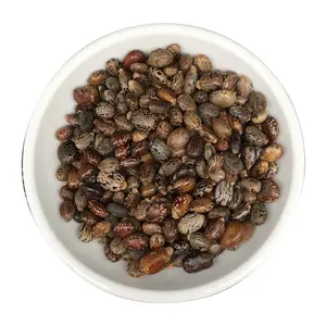 말린 Ricinus communis 과일 SEMEN RICINI 캐스터 콩 판매
