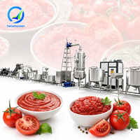 OCEAN Hot Sale Tomatenpuree Verwerkingsinstallatie Ketchup Productielijn Kleine Tomatensausmachine