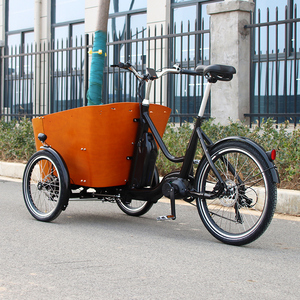 Meilleure vente de vélo cargo familial à 3 roues électrique Bakfiet Trailer E-cargo Bike <span class=keywords><strong>Transport</strong></span> Dogs & Kids - Product Image 3