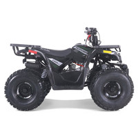 Tao Motor 2024 nouveau 110cc 125cc 150cc essence automatique enfants Quad Bike ATV