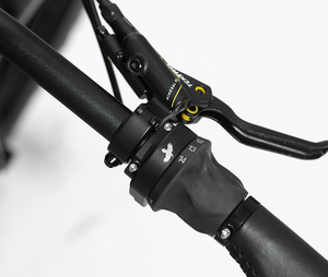 Chine OEM Step Thru 26 "48V Gros Pneu Vélo <span class=keywords><strong>Électrique</strong></span> Avec Bafang <span class=keywords><strong>1000</strong></span> <span class=keywords><strong>Watts</strong></span> Mid Drive Moteur M620 - Product Image 5