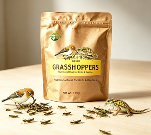 Suplemento alimenticio al por mayor, suplemento alimenticio natural de gafanhotos secos, alimento para mascotas, comida nutritiva para aves y reptiles - Product Image 4