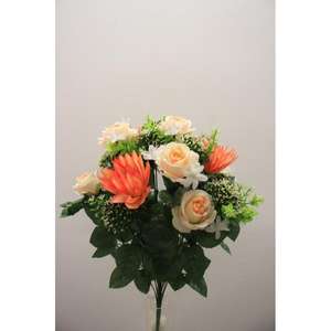 BUSH ROSE NINFEA X18 58CM SA - Product Image 1