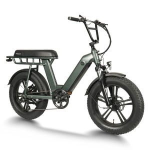 Vélo électrique tout-terrain à pneus larges 750W OEM avec moteur arrière 48V, vélo cargo électrique - Product Image 1