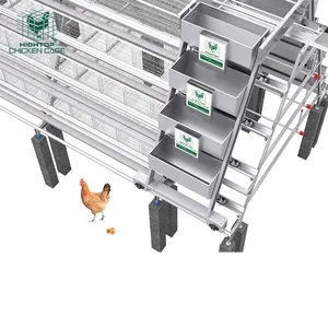 Design A Type 4 Tiers Poultry Farm Equipmeny Manual 5000 Hens Egg Laying Battery Layer Automatic Chicken Cage In Africa