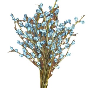 Vases de fruits d'eucalyptus Offre Spéciale de 110g fleur séchée de longue durée 100% fruits d'eucalyptus naturels <span class=keywords><strong>pour</strong></span> la décoration d'anniversaire - Product Image 5