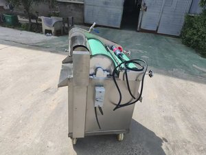 Lavatrice per Intestini di Agnello e Bovini, Macchina per la Pulizia delle Boche di Manzo 220V/380V, Alta Produttività 200-300 pz/ora - Product Image 6