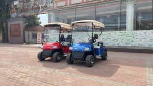 Voiture de golf électrique au prix le plus bas voiture de golf 4 places mini voiture de golf essence - Product Image 5