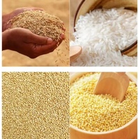 Machine commerciale de polissage et de mouture du riz avec élévateur de grains et tamis vibrant pour l'élimination des impuretés (cruas, pierres, copeaux)