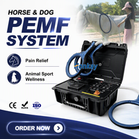 Appareil de thérapie PEMF à haute intensité, boucle PEMF d'usine d'origine, pour la circulation sanguine chez les chiens et les chevaux, clinique vétérinaire