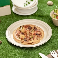 Vente en gros de vaisselle jetable biodégradable service de table assiette plate et ronde en bagasse pour le camping et la fête