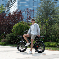 Vélo Électrique Tout-Terrain Haut de Gamme KOOLUX X9 PRO en Acier, Personnalisé en Usine, 250W pour UE, 750W pour Royaume-Uni, Double Batterie, Autonomie Étendue 100-180km, Pneus Larges