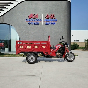 Open Body Type Gasoline Motorcycles 3 Wheels Long Range Petrol Tricycle <b>for</b> Adult Passengers - Product Image 2