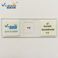 Medical Parasitology Prepared Slides Higher Education Microscope Slides