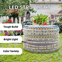 Bande LED 2835 CE RoHS en gros, 12V 24V, 120 LED, IP20, éclairage intérieur/extérieur pour résidence et aménagement paysager, lampe en cuivre