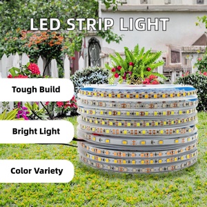 CE RoHS Wholesale 2835 LED <b>Strip</b> Light 12V 24V 120 LED IP20 Indoor Outdoor Residence Landscape Lighting <b>Copper</b> Lamp - Product Image 5