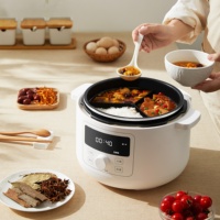 Cuiseurs à haute pression cuiseur à riz 4L cuisine à domicile autocuiseur électrique multifonction numérique intelligent