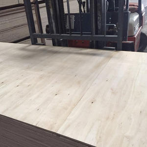 Contreplaqué de mélamine Armoire de cuisine Toutes sortes Panneau de meubles Contreplaqué laminé de mélamine - Product Image 6