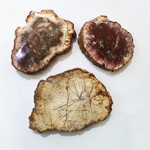 Vente en gros de bois pétrifié naturel, bois poli, fossile, dalle, pierre brute, tranche, spécimen, décoration, artisanat, pièce de bois pétrifié - Product Image 2