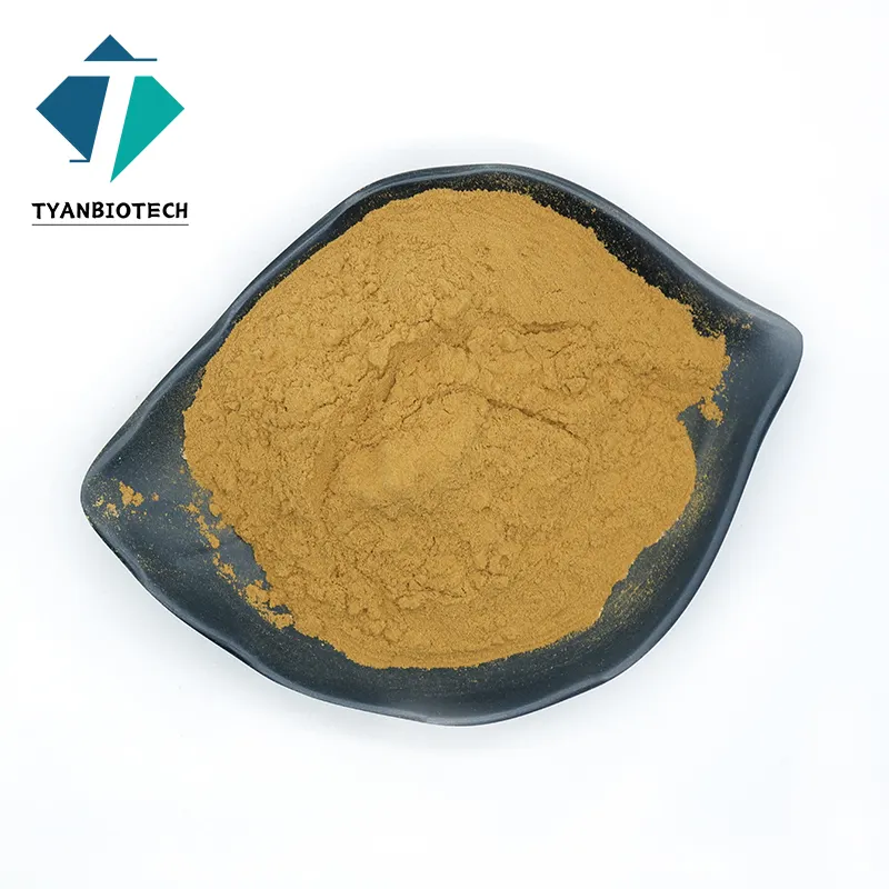 Top Powder Red Korean Ginseng Extract/Korean Red Ginseng Extract