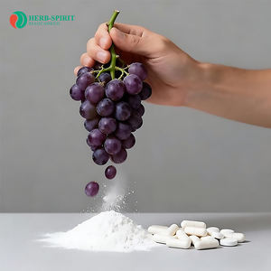 98% レスベラトロール イタドリ/ブドウ皮エキス レスベラトロールカプセル イタドリエキス粉末 レスベラトロール - Product Image 3