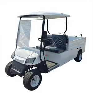 รถกอล์ฟไฟฟ้าขนาดเล็ก 2 ที่นั่งสุดหรู พร้อมกระบะท้ายแบบยกได้ - Product Image 1