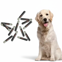 Microchip para Perros de 2.12*12mm, 134.2khz, FDX-B, EM4305, Implante de Microchip para Mascotas, Etiqueta Transpondedora de Tubo de Vidrio RFID para Identificación Animal