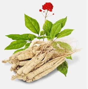 <span class=keywords><strong>80</strong></span>% ginsenosides <span class=keywords><strong>80</strong></span> lưới chiết xuất nhân sâm bột Nhà Máy chiết xuất sản phẩm - Product Image 5