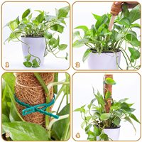 Bâton de mousse de coco 100% biodégradable sans plastique, Totem de 16 pouces pour fournitures de jardin